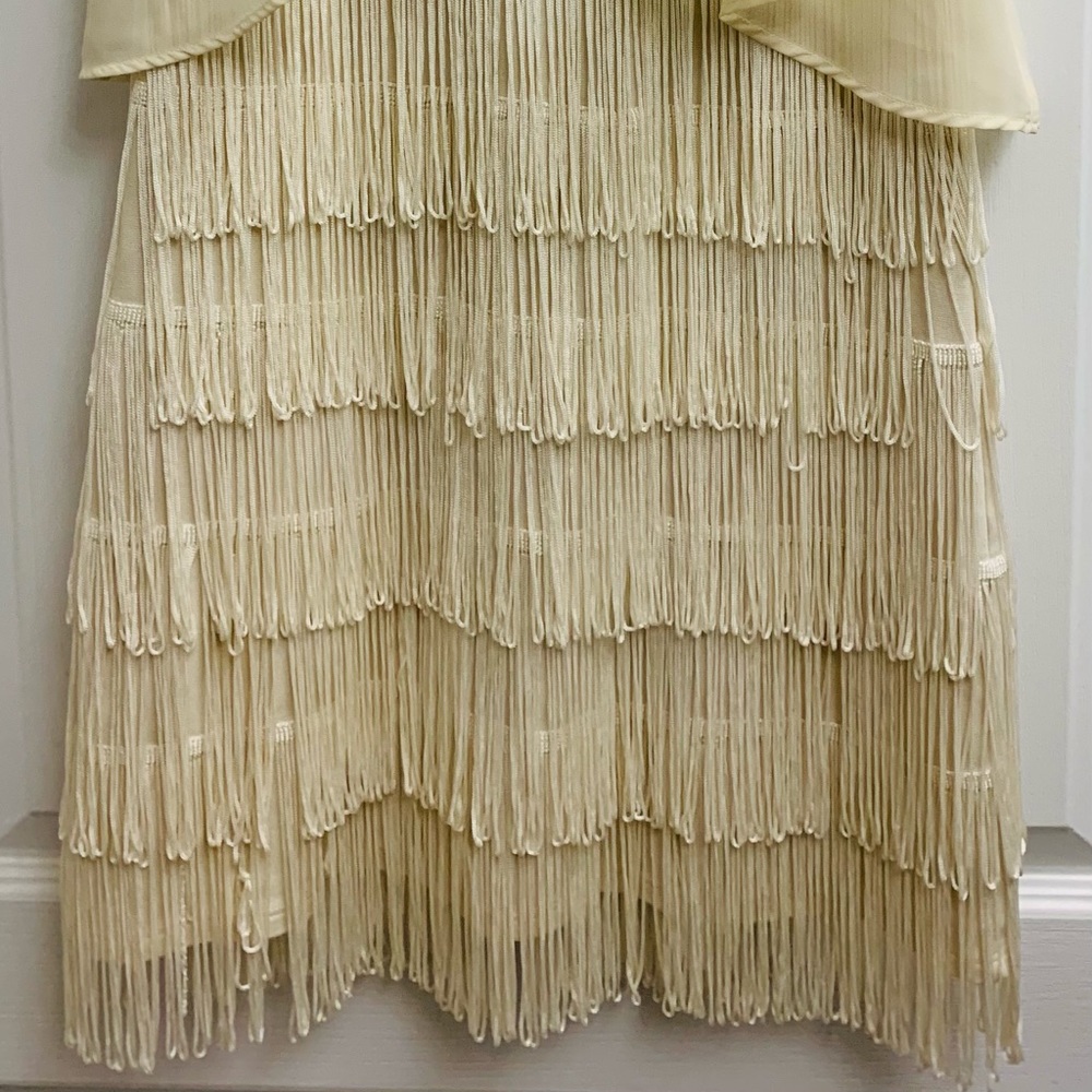 Flapper Costume